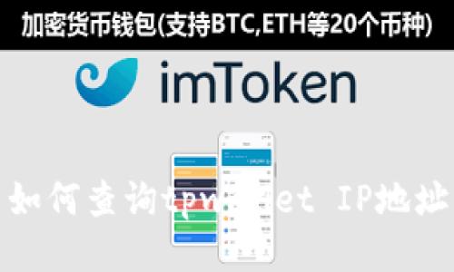 如何查询tpwallet IP地址