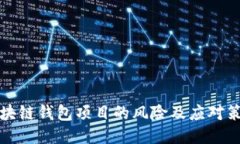 区块链钱包项目的风险及