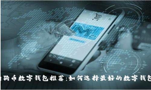 狗狗币数字钱包推荐：如何选择最好的数字钱包？