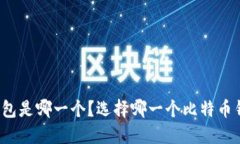 比特币最好的钱包是哪一