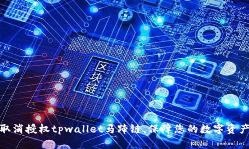 如何取消授权tpwallet马蹄链，保障您的数字资产安全