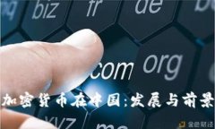 加密货币在中国：发展与