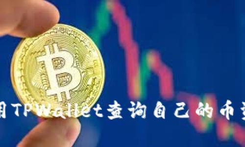 如何使用TPWallet查询自己的币资产去向
