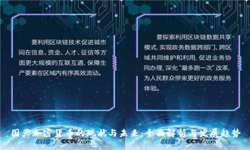 国产加密货币的现状与未来：全面解析与发展趋势