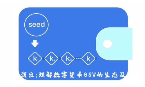 深入浅出：理解数字货币BSV的生态及未来