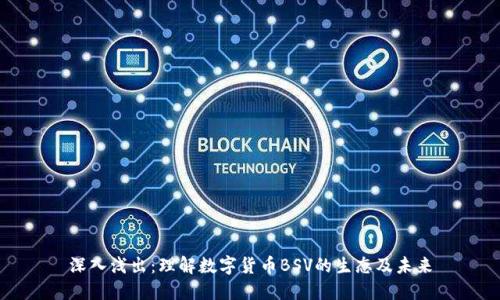 深入浅出：理解数字货币BSV的生态及未来