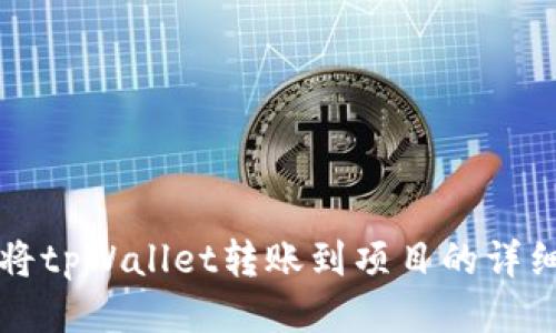 如何将tpWallet转账到项目的详细指南