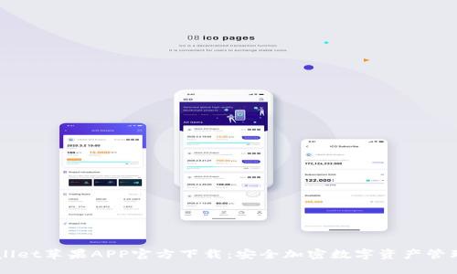TPWallet苹果APP官方下载：安全加密数字资产管理平台