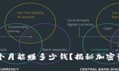 TPWallet一个月能赚多少钱？