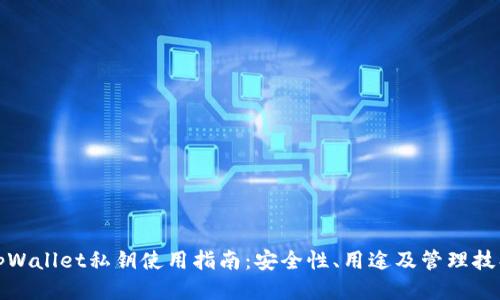 tpWallet私钥使用指南：安全性、用途及管理技巧