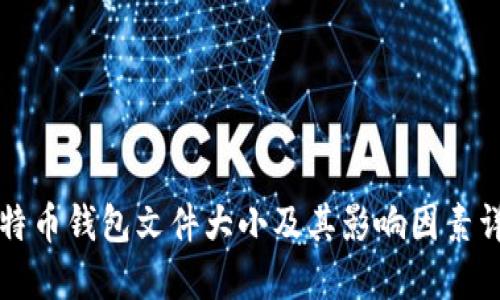 比特币钱包文件大小及其影响因素详解