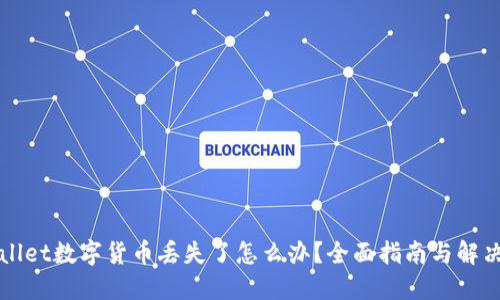 TPWallet数字货币丢失了怎么办？全面指南与解决方案