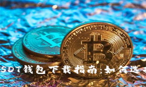 安全可靠的USDT钱包下载指南：如何选择合适的钱包