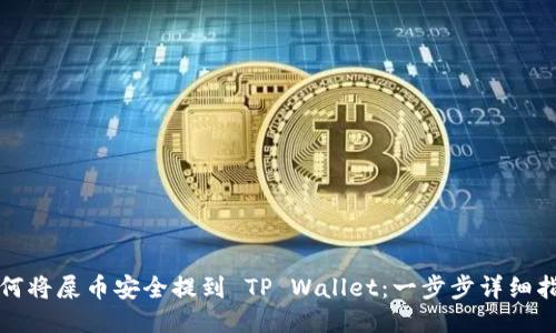 如何将屎币安全提到 TP Wallet：一步步详细指南