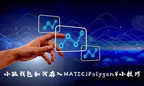 小狐钱包如何存入MATIC（Polygon）小技巧