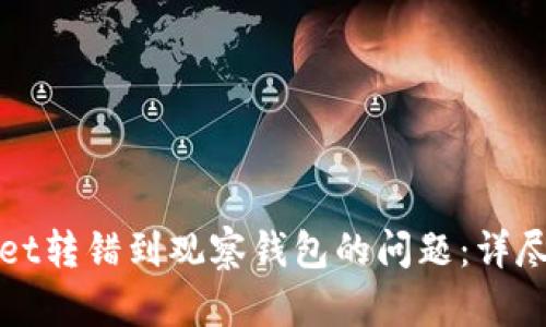 如何解决tpWallet转错到观察钱包的问题：详尽指导与实用建议