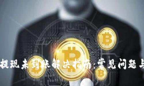 TPWallet提现未到账解决指南：常见问题与解决办法