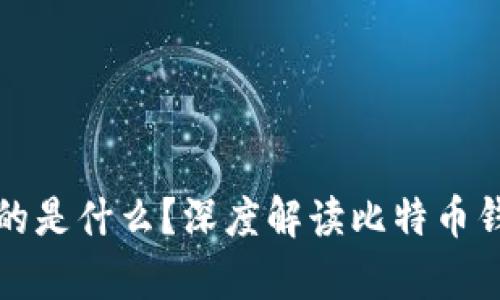 比特币钱包存的是什么？深度解读比特币钱包及其重要性