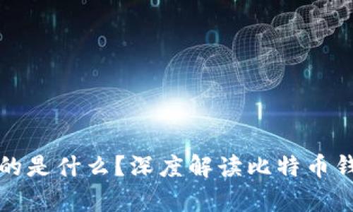 比特币钱包存的是什么？深度解读比特币钱包及其重要性