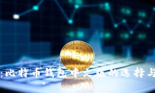 全面解析：比特币钱包中文版的选择与使用指南