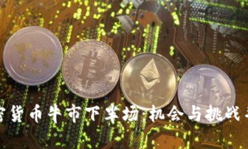 加密货币牛市下半场：机会与挑战并存