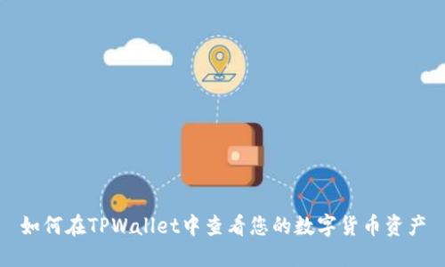 如何在TPWallet中查看您的数字货币资产