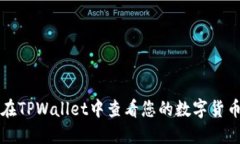 如何在TPWallet中查看您的数