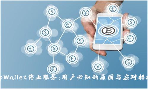 tpWallet停止服务：用户必知的原因与应对措施