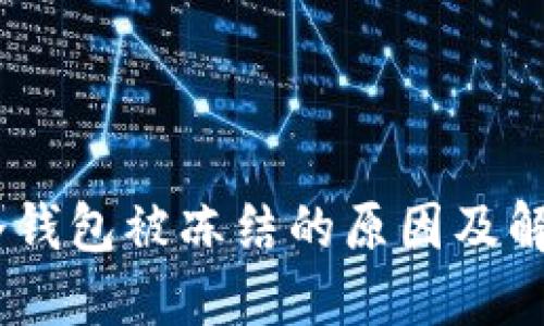 USDT冷钱包被冻结的原因及解决方案