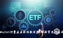 标题: tpWallet付费后未收到