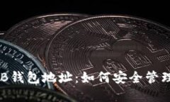 揭秘V神的SHIB钱包地址：如