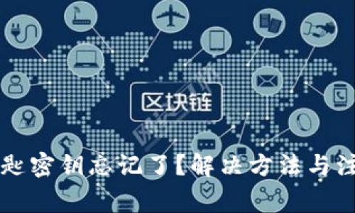 tpWallet钥匙密钥忘记了？解决方法与注意事项详解