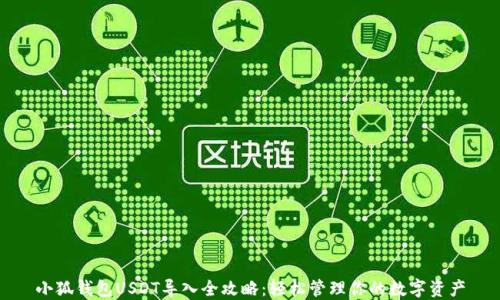 
小狐钱包USDT导入全攻略：轻松管理你的数字资产