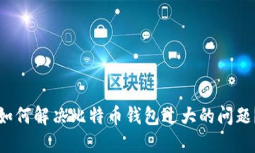 如何解决比特币钱包过大的问题？