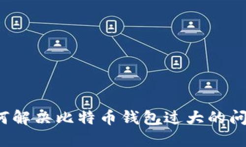 如何解决比特币钱包过大的问题？