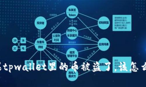 如果tpwallet里的币被盗了，该怎么办？
