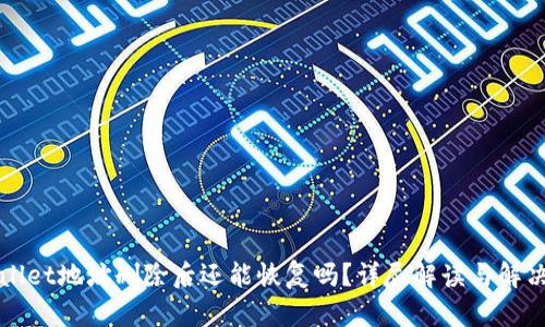 TPWallet地址删除后还能恢复吗？详尽解读与解决方案