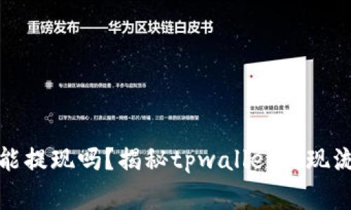 tpwallet真的能提现吗？揭秘tpwallet提现流程与注意事项