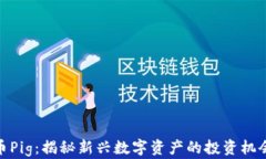 加密货币Pig：揭秘新兴数