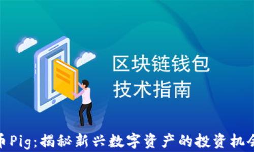 
加密货币Pig：揭秘新兴数字资产的投资机会与风险