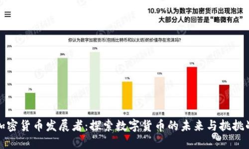 加密货币发展者：探索数字货币的未来与挑挑战
