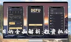 加密货币项目的全面解析