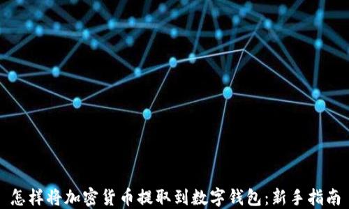
怎样将加密货币提取到数字钱包：新手指南