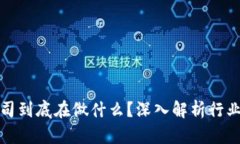 加密货币公司到底在做什