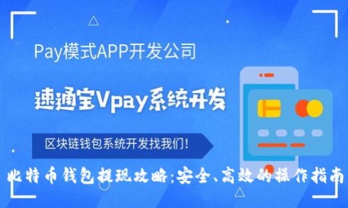 比特币钱包提现攻略：安全、高效的操作指南