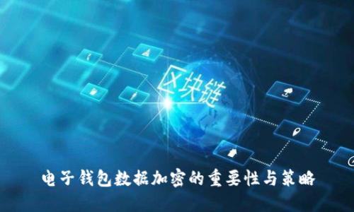 电子钱包数据加密的重要性与策略