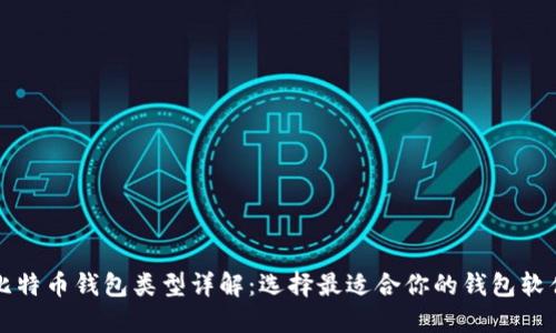 比特币钱包类型详解:选择最适合你的钱包软件