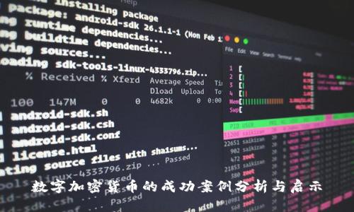 数字加密货币的成功案例分析与启示