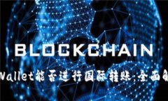 tpWallet能否进行国际转账：