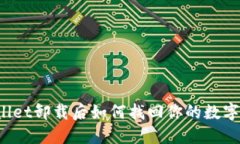 TPWallet卸载后如何找回你的